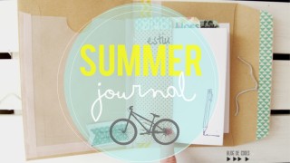 Diari d'estiu - summer journal