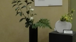 Ikebana per a una exposiciò